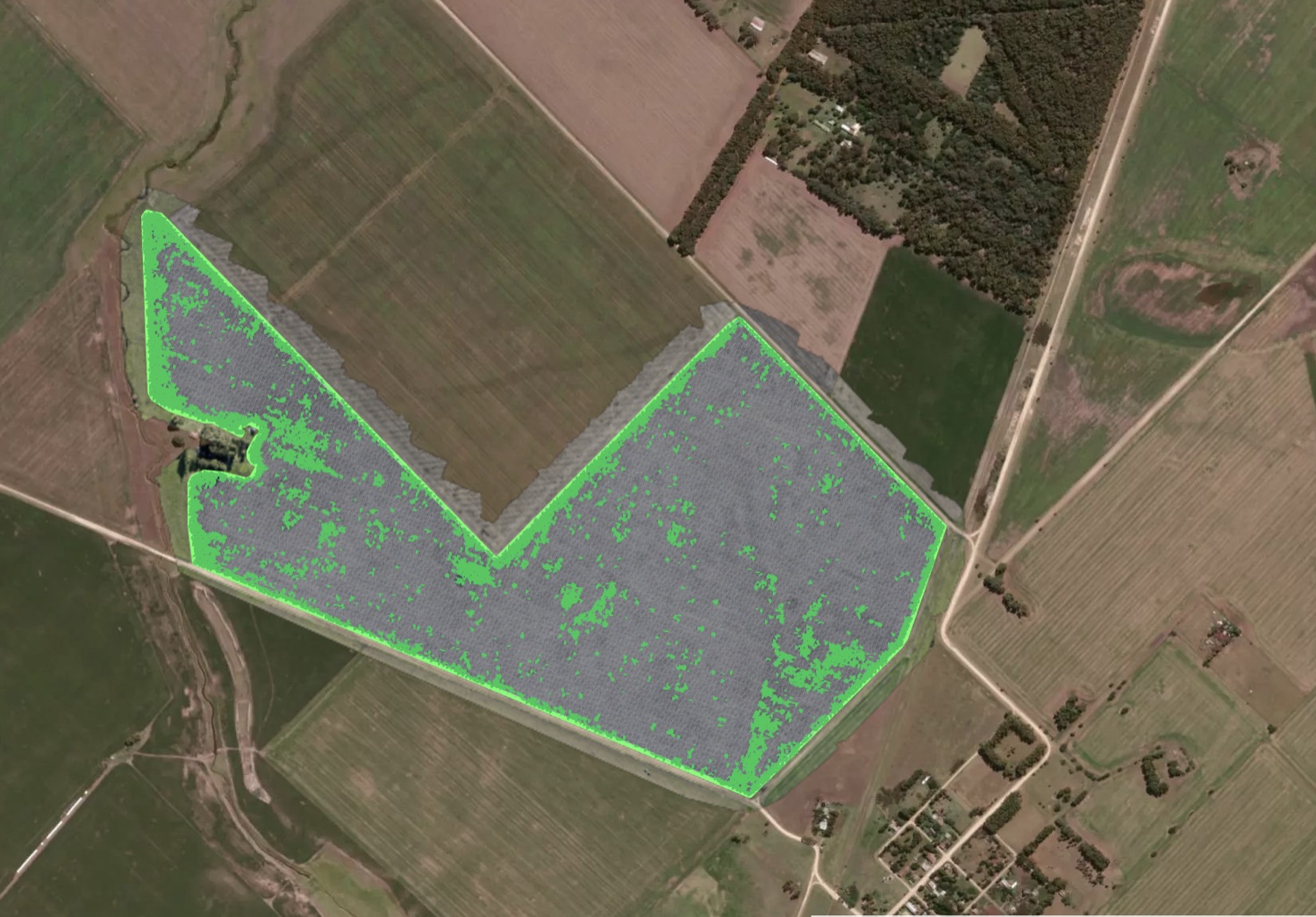 Mapa de malezas de ZOOM Agricultura en AvanSys: 16,27 ha detectadas sobre un lote de 111,9 ha