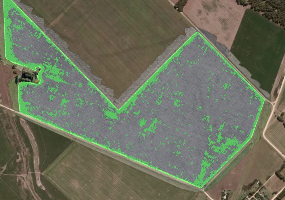 Detalle del mapa de malezas de AvanSys: manchones de maleza en verde que siguen el patrón real del lote